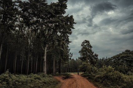 ianpalkovitz_ DSC06086_Edit_July2020